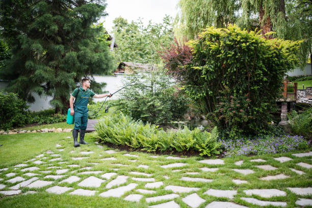 Best Best Pest Control Near Me  in Tomah, WI