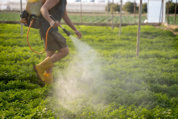 Trusted Tomah, WI Pest Control Experts