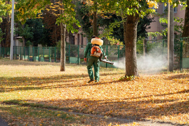 Best Pest Control for Restaurants  in Tomah, WI