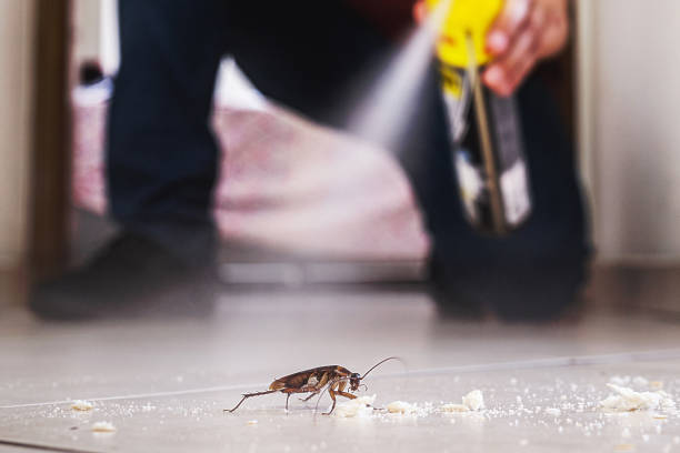 Best Best Pest Control Companies  in Tomah, WI