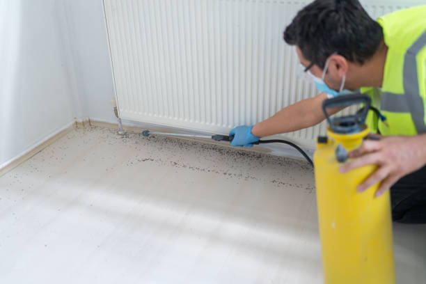 Best Pest Inspection Near Me  in Tomah, WI